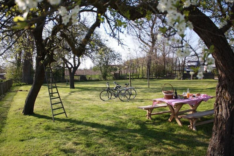 B&B Buytenshuys image