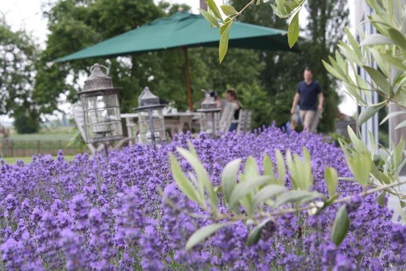 B&B Buytenshuys image