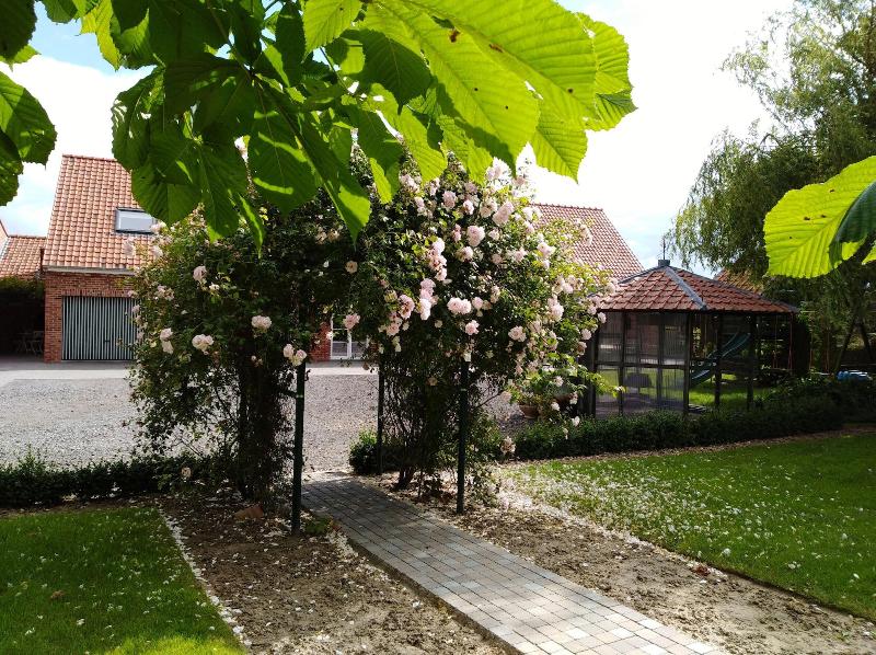 t Hooghe Licht Bed & Breakfast image