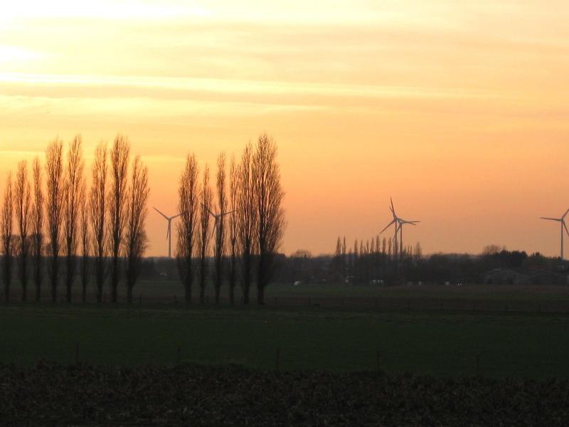 t Hooghe Licht Bed & Breakfast image