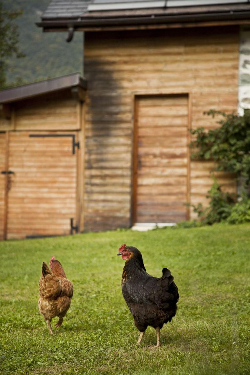 La Ferme De Noémie image