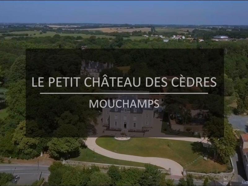 Le Petit Chateau Des Cedres image