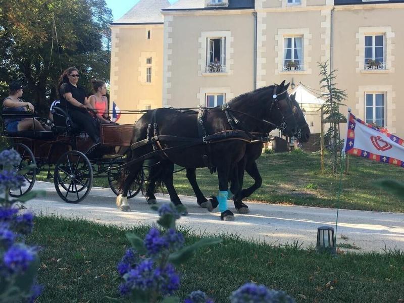 Le Petit Chateau Des Cedres image