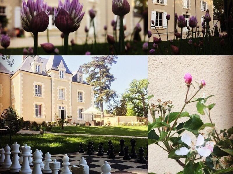 Le Petit Chateau Des Cedres image