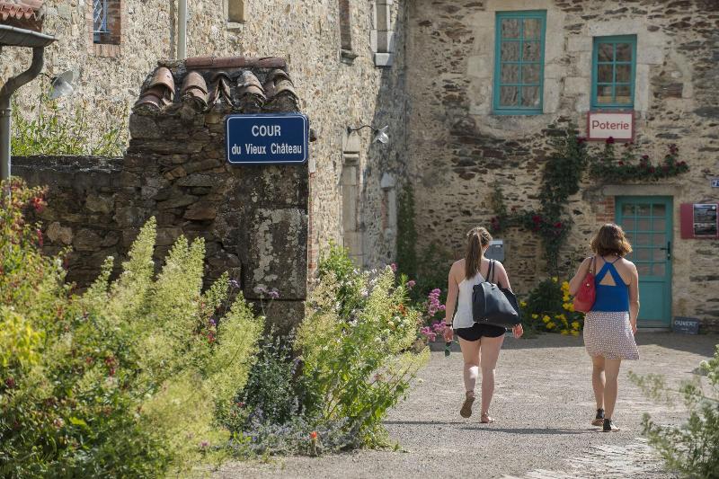 Le Petit Chateau Des Cedres image
