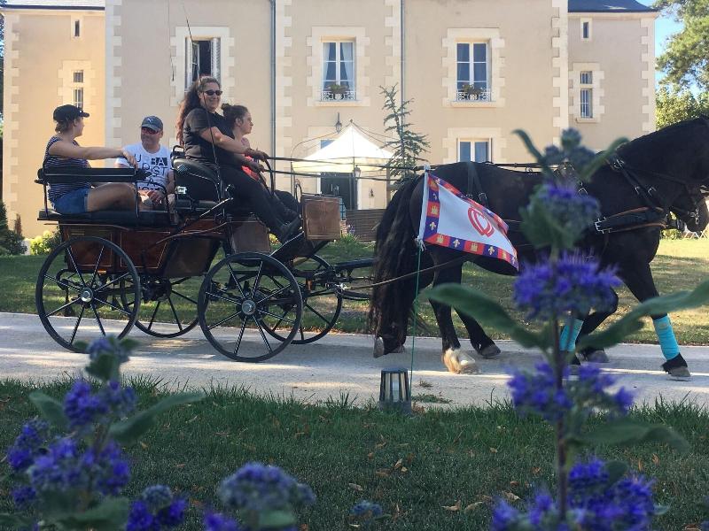Le Petit Chateau Des Cedres image