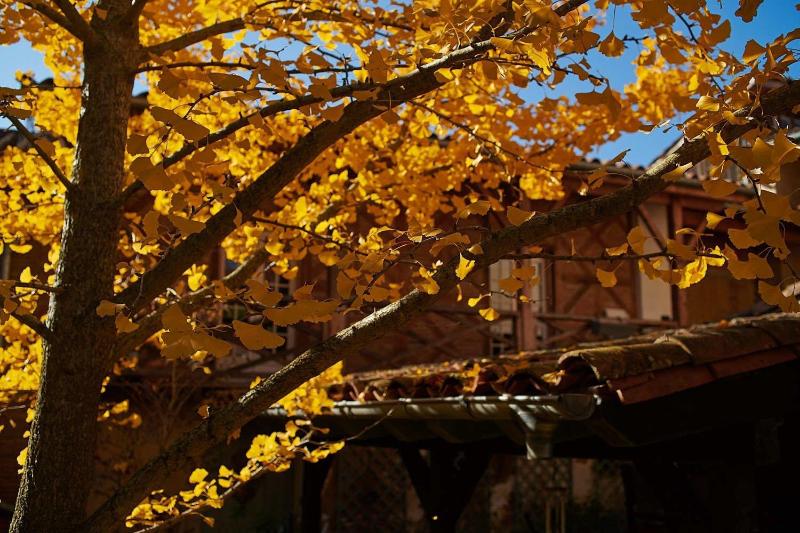 La Halte Du Temps image