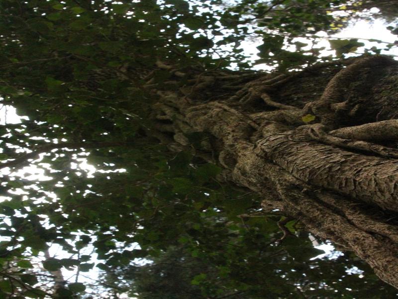 Locanda Dei Baroni image