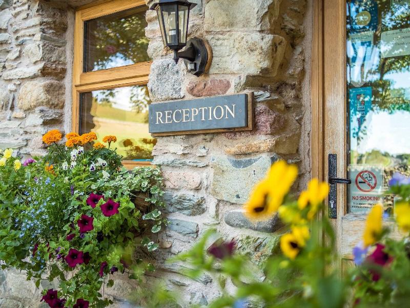 Wayside Guest Accommodation image
