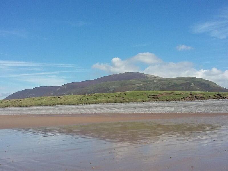 Wayside Guest Accommodation image