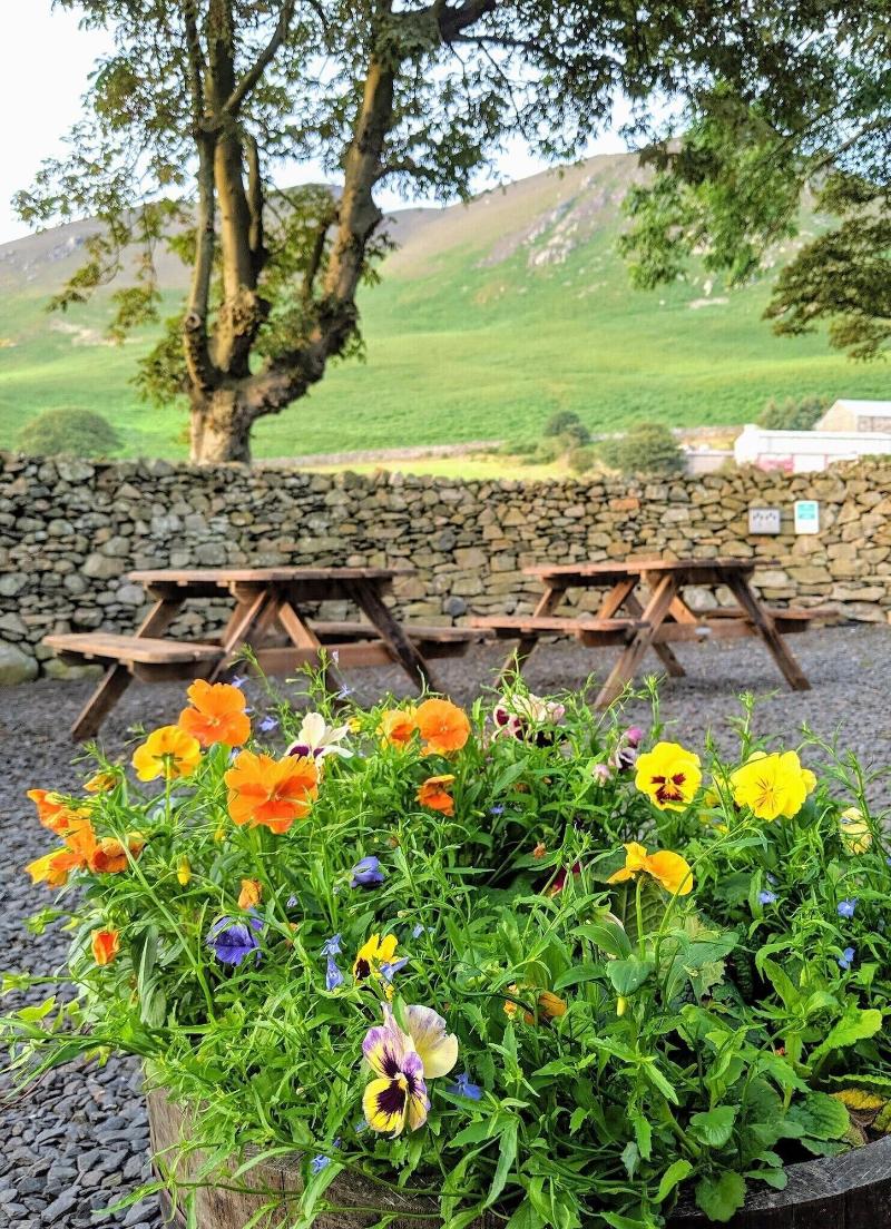 Wayside Guest Accommodation image