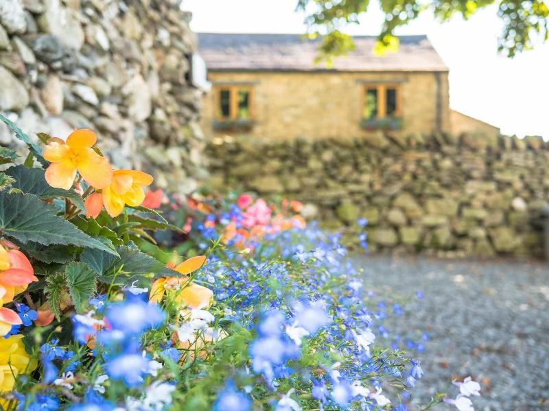 Wayside Guest Accommodation image