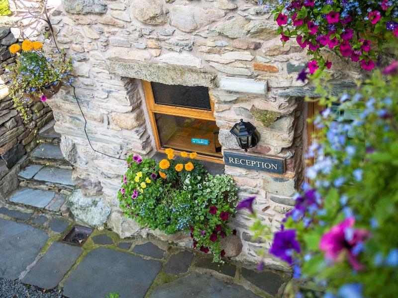 Wayside Guest Accommodation image