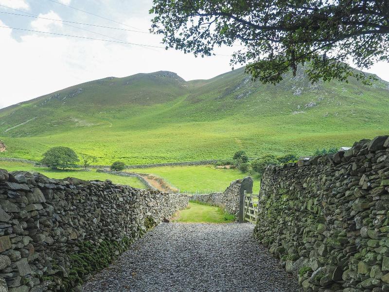 Wayside Guest Accommodation image