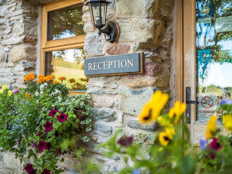 Wayside Guest Accommodation image