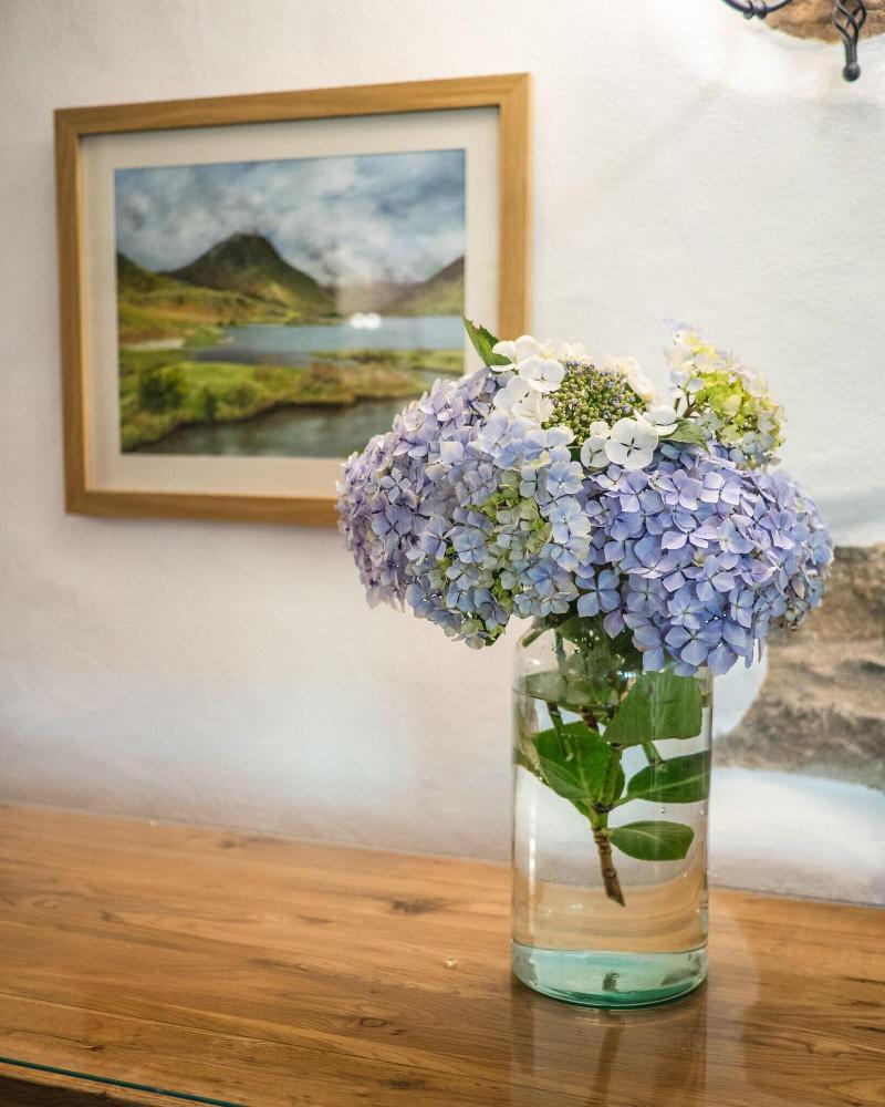 Wayside Guest Accommodation image