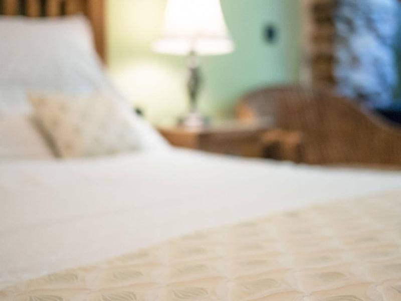 Wayside Guest Accommodation image