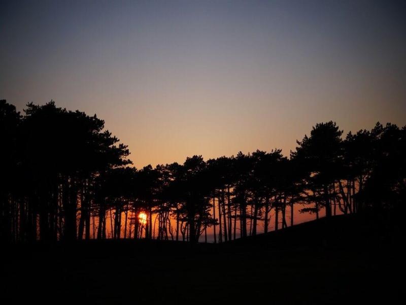 The Golf Hotel image
