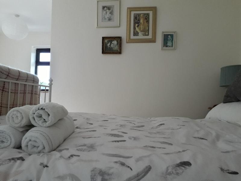 Melin Tregib image