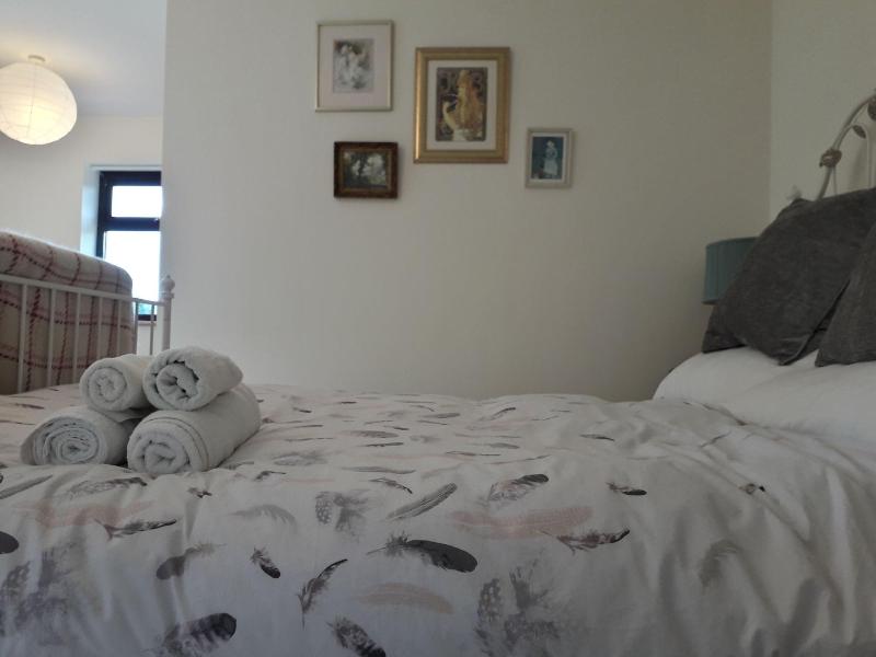 Melin Tregib image