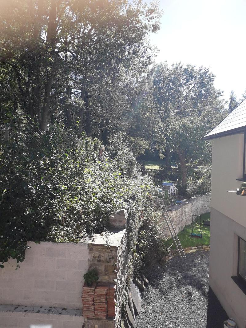 Melin Tregib image