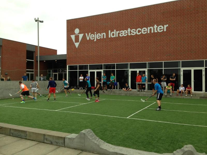 Danhostel Vejen Sport & Hytteby — general view