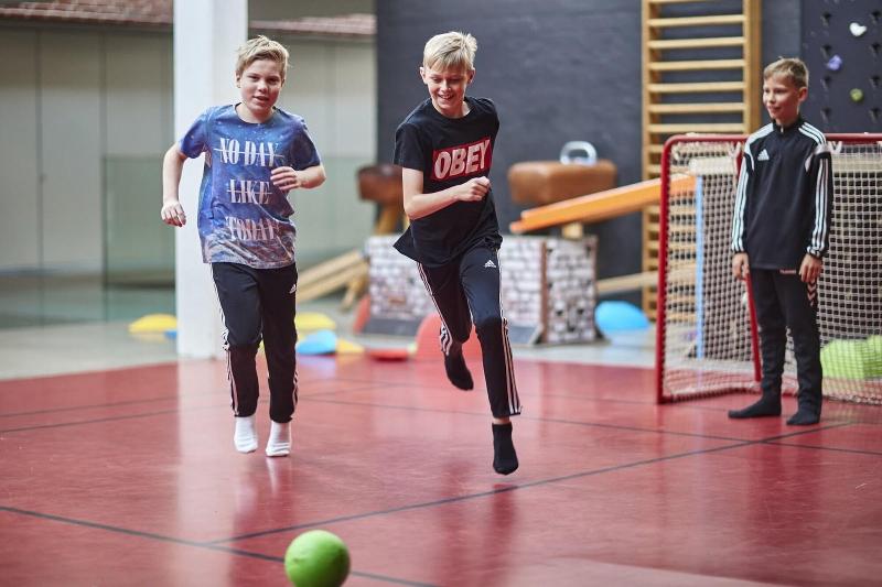 Danhostel Vejen Sport & Hytteby image