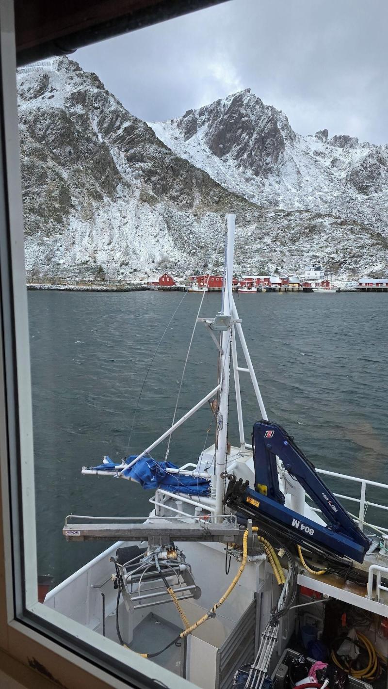 Hemmingodden Lodge image