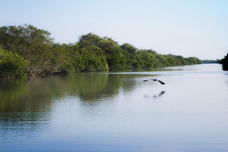 Isla Tajín Beach & River Resort image