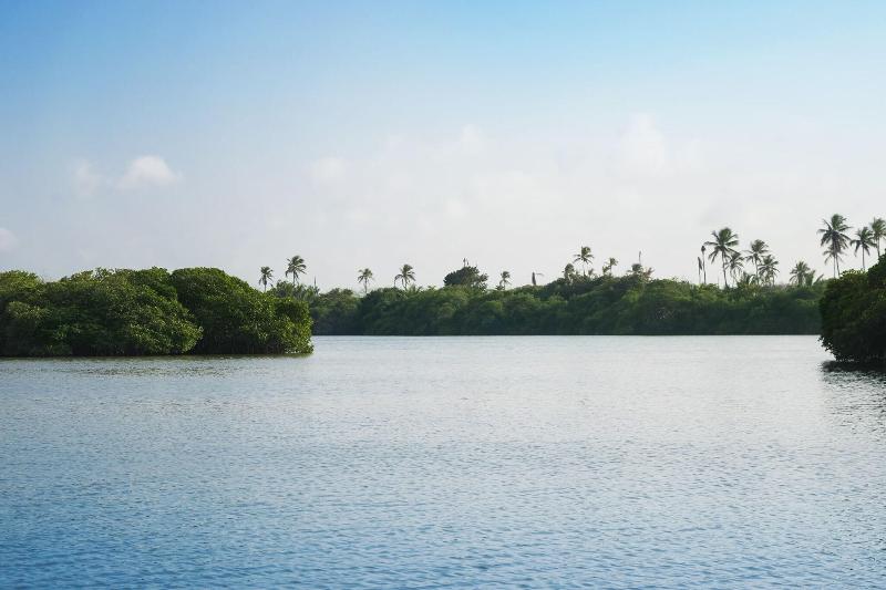 Isla Tajín Beach & River Resort image
