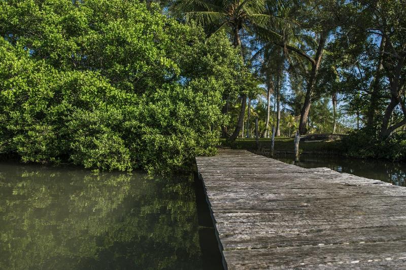 Isla Tajín Beach & River Resort image