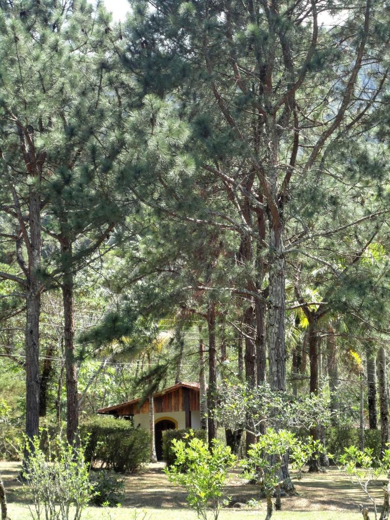 Hotel Pousada Esmeralda image