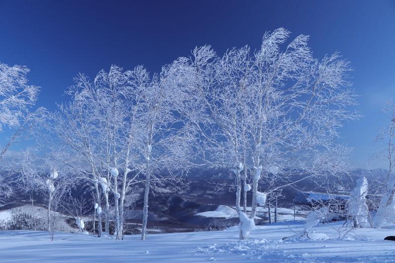 Tokachi Sahoro Resort image