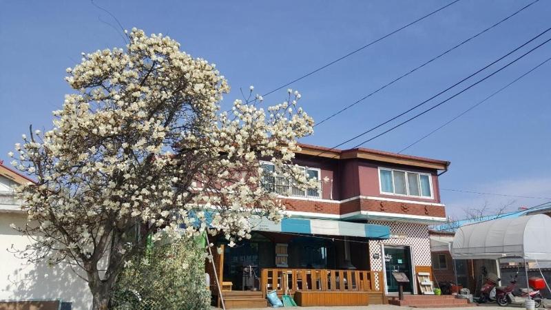 The Guesthouse DMZ Stay - Hostel image