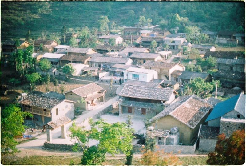 Homie Homestay - Hostel