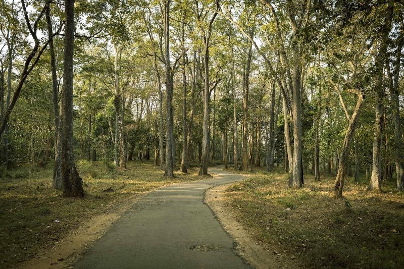 Sterling Wayanad image