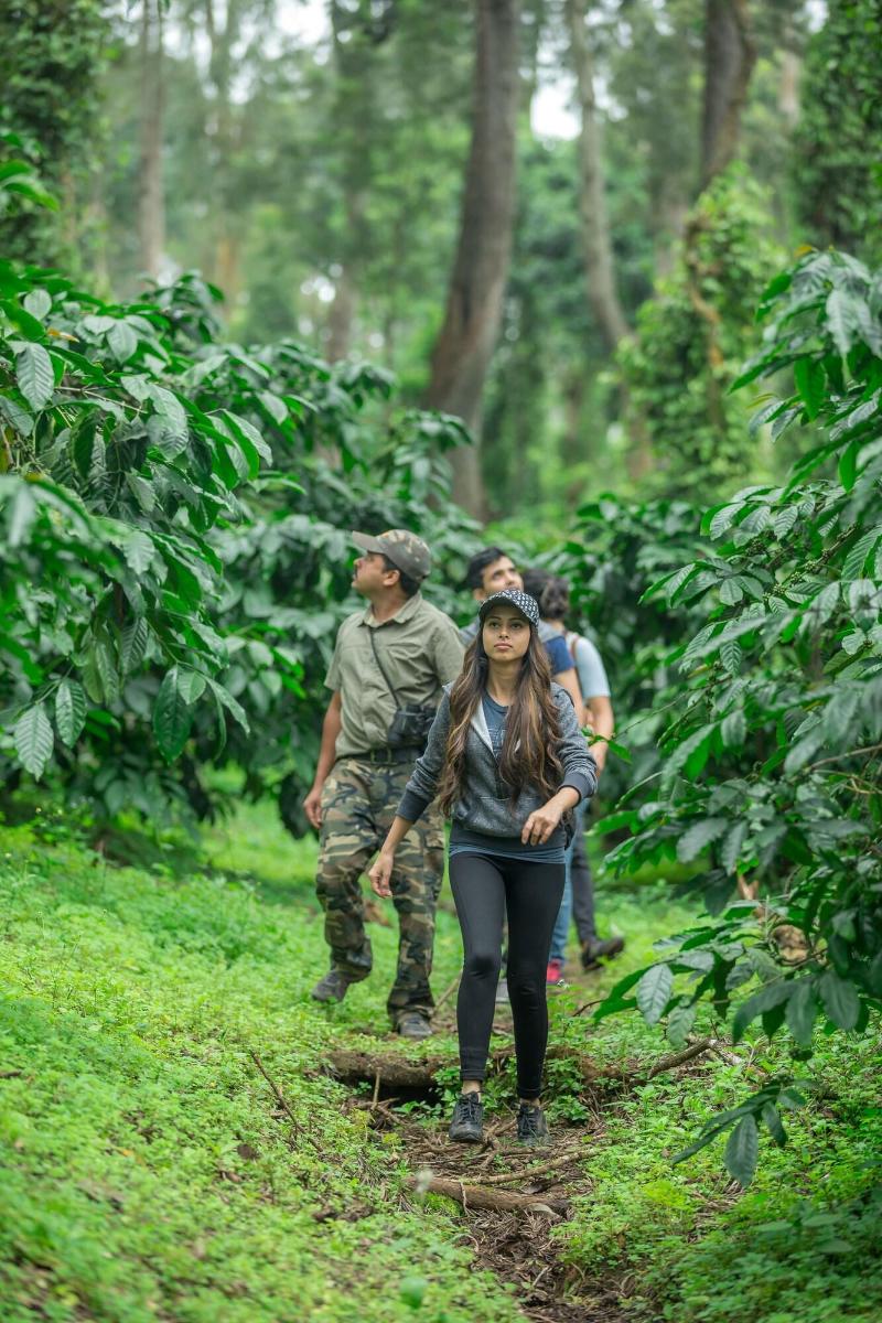 Ama Plantation Trails , Coorg image