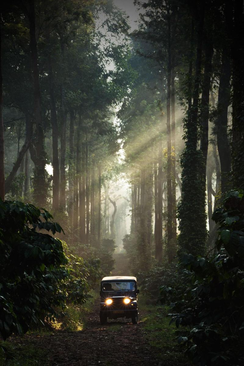 Ama Plantation Trails , Coorg image