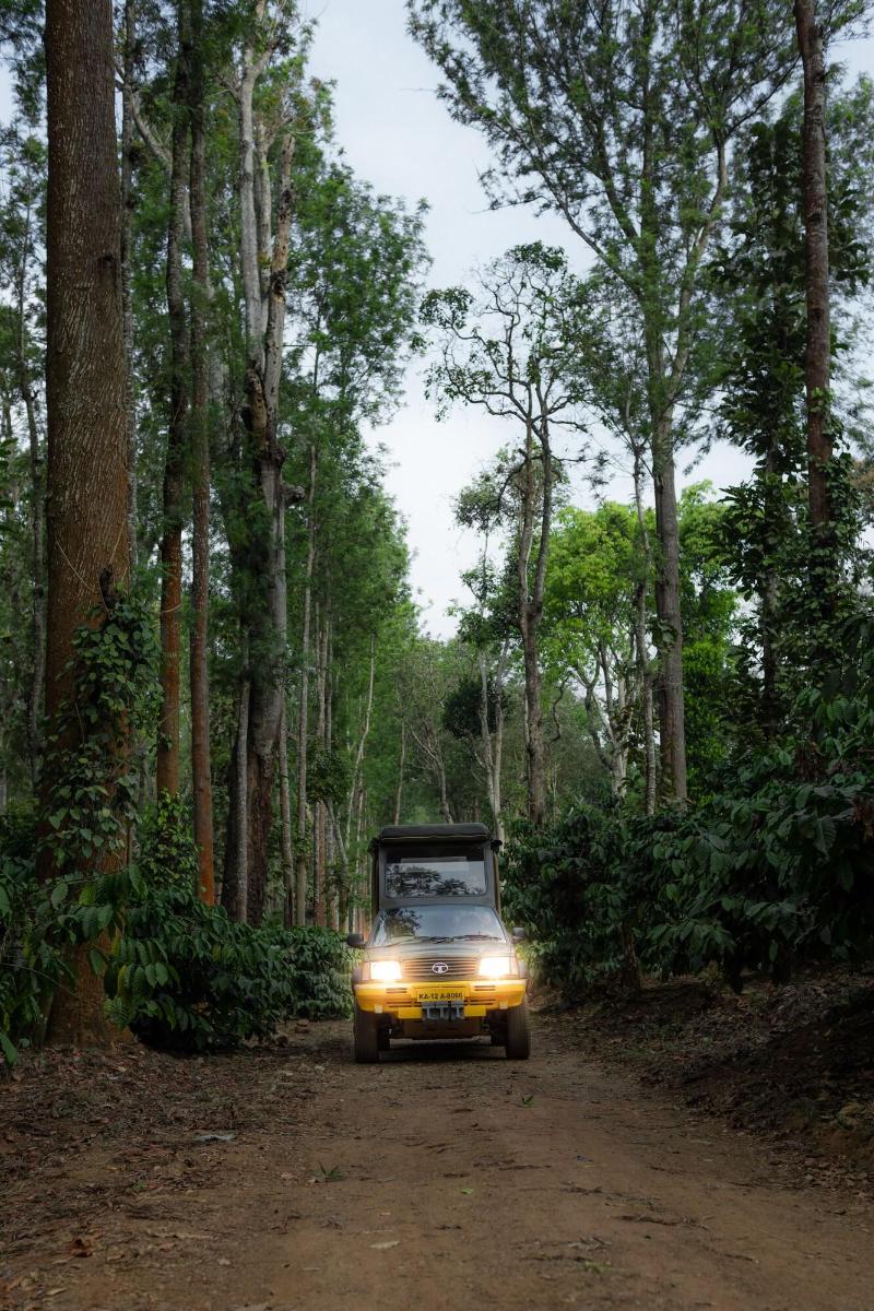 Ama Plantation Trails , Coorg image