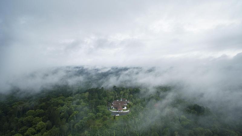 Ama Plantation Trails , Coorg image