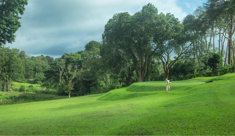 Ama Plantation Trails , Coorg image