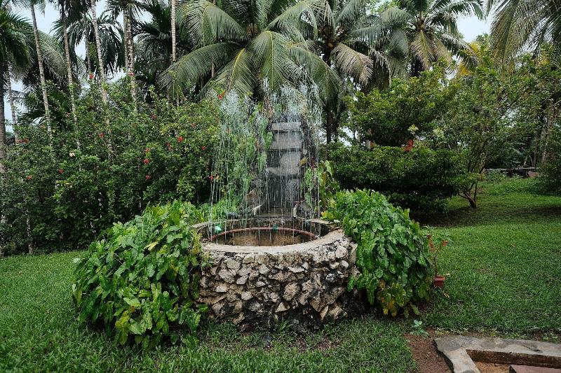 Rainforest Resort