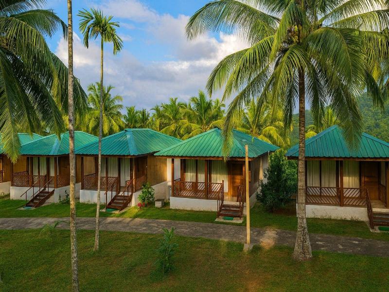Rainforest Resort