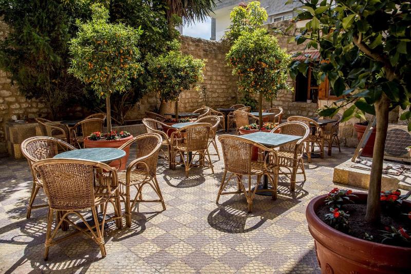 Dar Camelia image