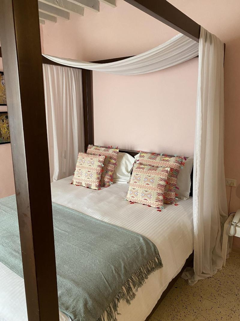 Dar Camelia image