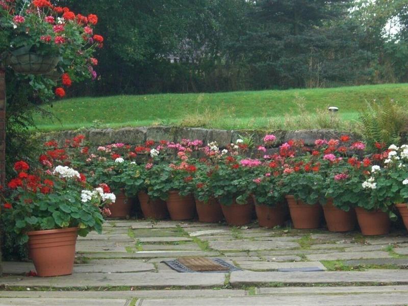Ash Farm Country Guest House image