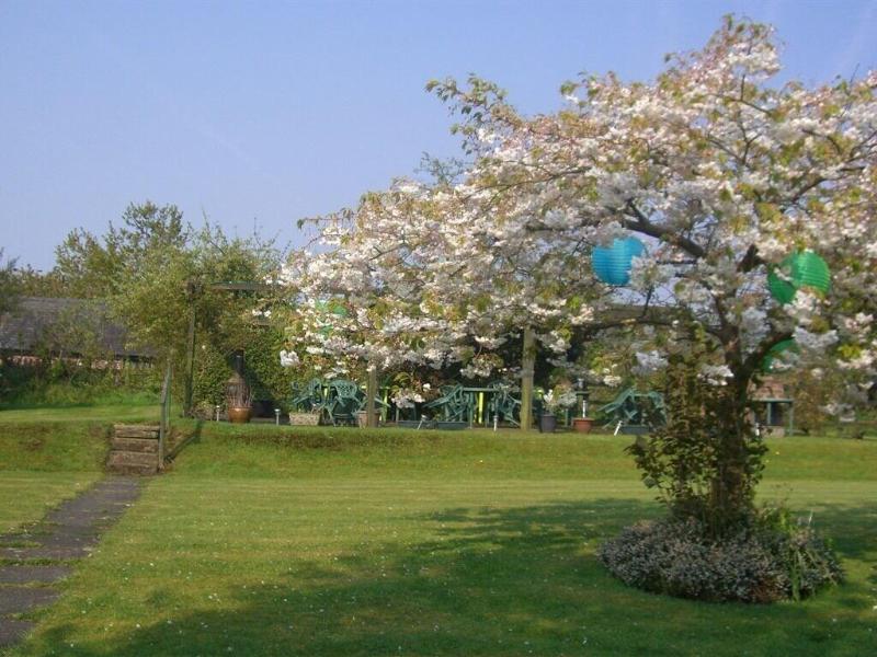 Ash Farm Country Guest House image