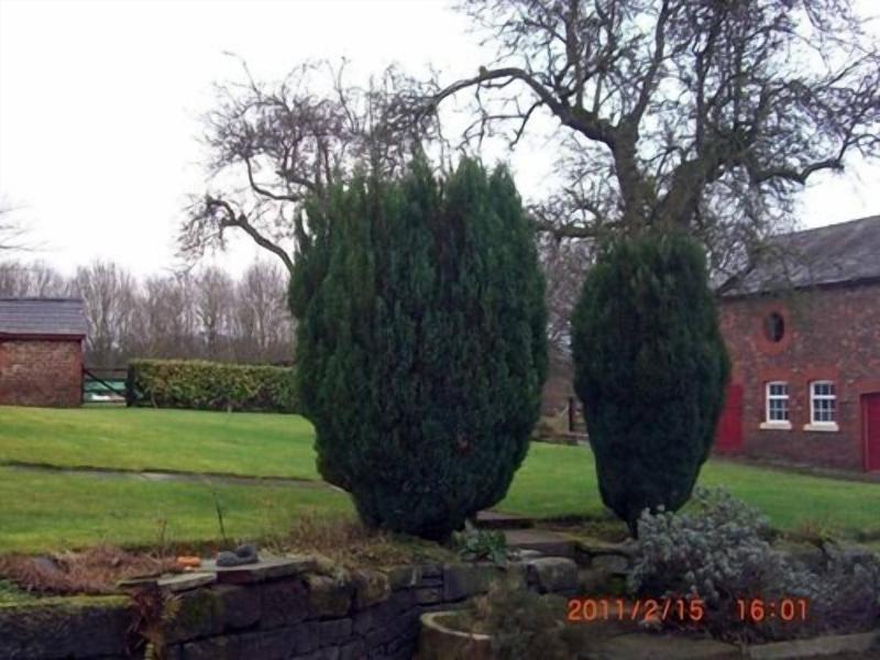 Ash Farm Country Guest House image