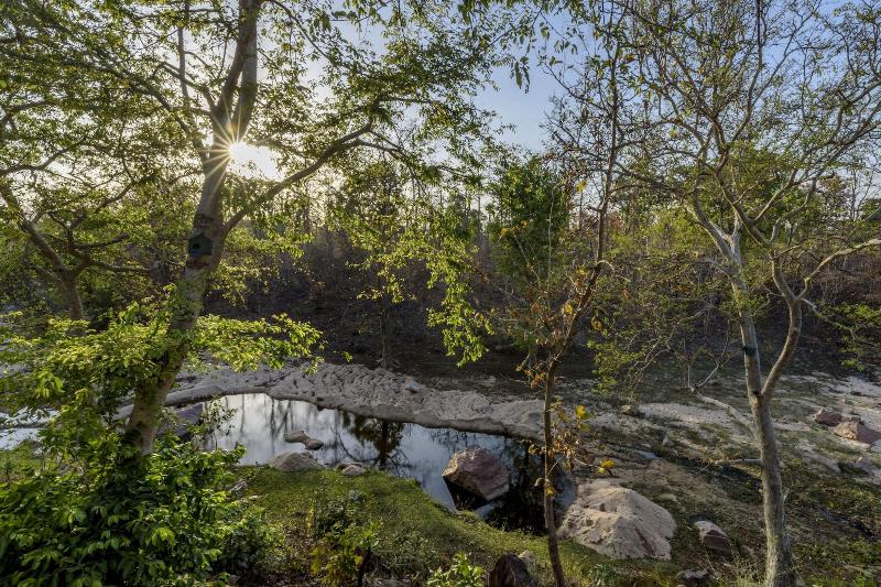 The Riverwood Forest Retreat-Pench