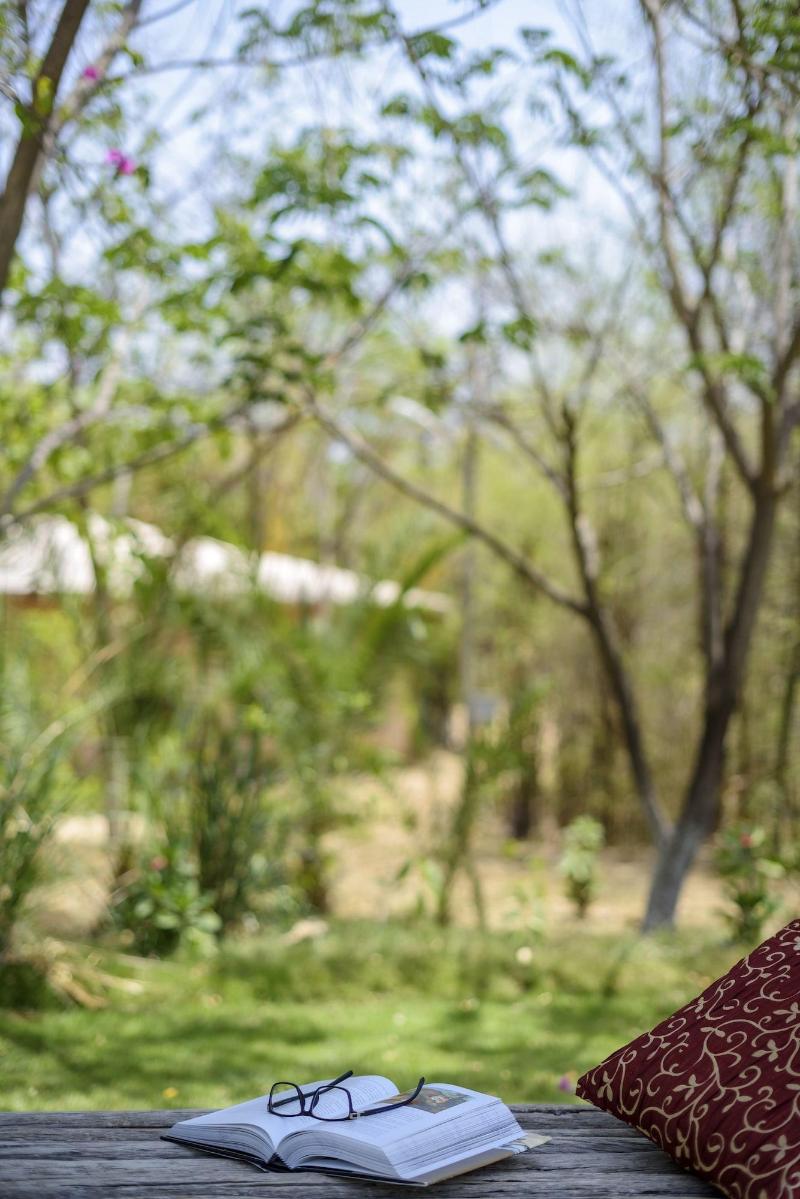 The Riverwood Forest Retreat-Pench